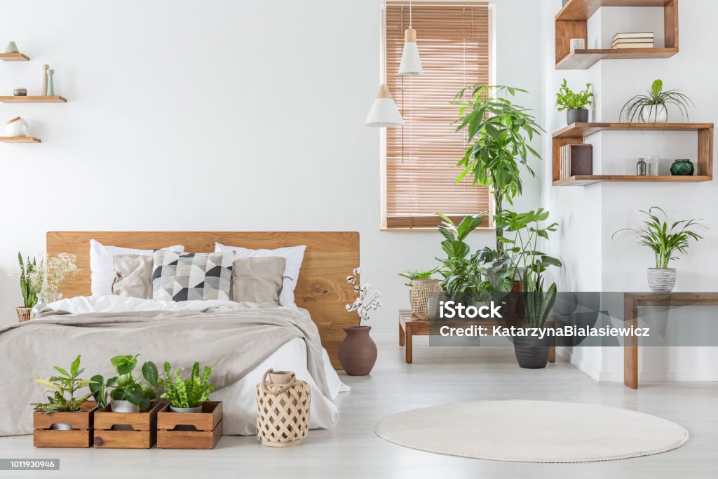 Real photo of a botanical bedroom interior with wooden shelves, tables, double bed, plants and empty wall next to a window with blinds. Place your painting Bedroom Stock Photo