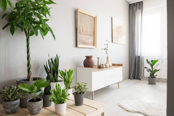 istock Plants next to white cupboard under poster in bright living room interior with window. Real photo 1011935928