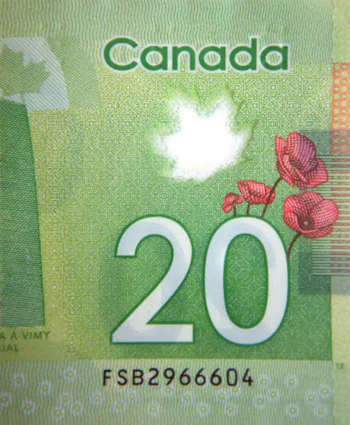 Photo of 20 Canadian dollar bill