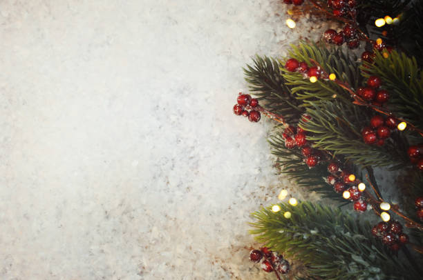 istock Red berries on the snow, Christmas background 1011939404