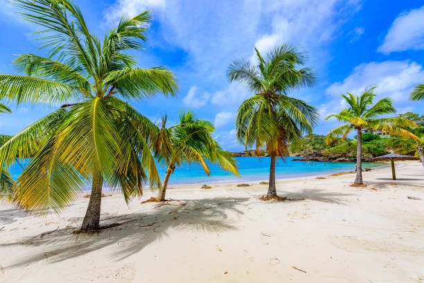 галеон-бич на карибском острове антигуа, английская гавань, райский залив на тропическом острове в карибском море - galleon стоковые фото и изображения