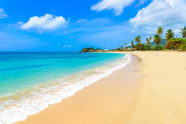 Photo of Paradise beach at Morris Bay, Tropical caribbean island Antigua