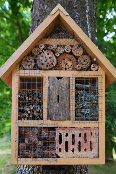 istock Insect hotel in the garden. 1011945686