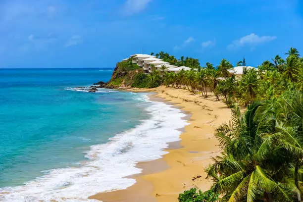 Photo of Paradise beach at Morris Bay, Tropical caribbean island Antigua