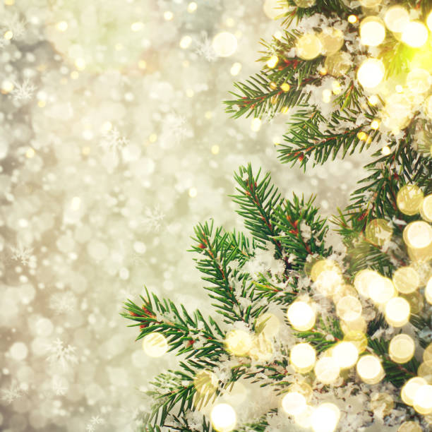 istock Closeup of Christmas-tree 1011950484