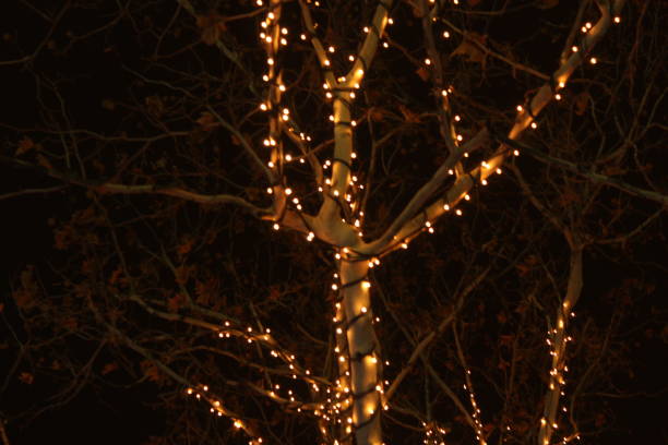 istock christmas light on wood 1011954322