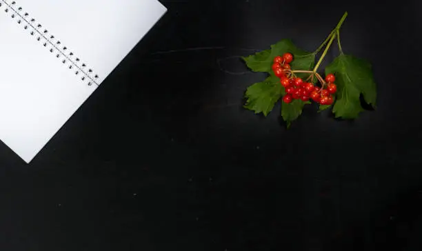 black table with open notepad and viburnum berries
