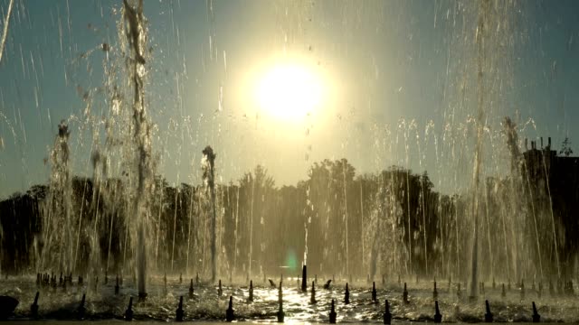 A large fountain in the city at sunset. A lot of water jets fly into the sky against the sun in the city Park.