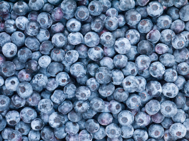 istock Ripe dark purple blueberry 1011964192