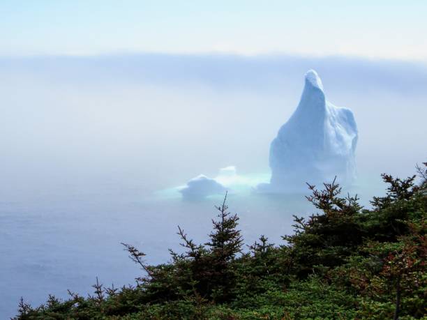 istock Iceberg along the Skerwink Trail in Newfoundland 1011971252