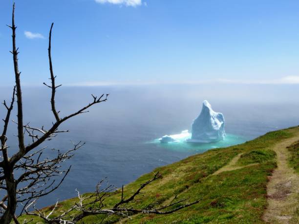 istock Iceberg along the Skerwink Trail in Newfoundland 1011971306