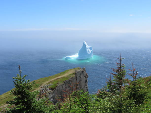 istock Iceberg along the Skerwink Trail in Newfoundland 1011971326