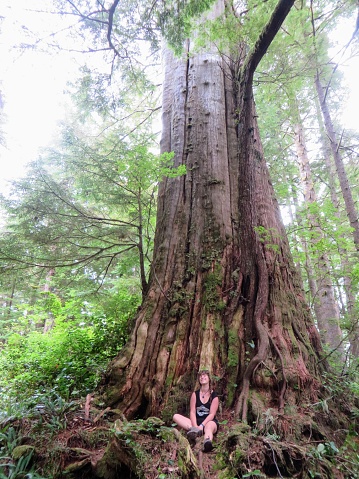 Un joven excursionista se sienta en frente de un árbol enorme antiguo de cedro rojo a lo largo de la costa oeste camino de la isla de Vancouver, Columbia Británica, Canadá photo