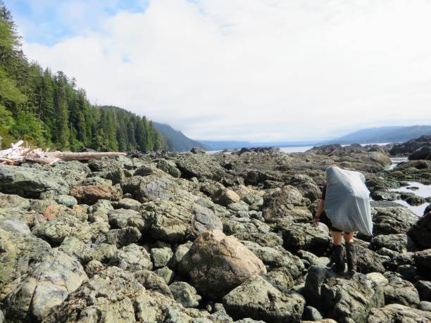 istock Epic Hike along the West Coast Trail, Vancouver Island, Canada 1011971794