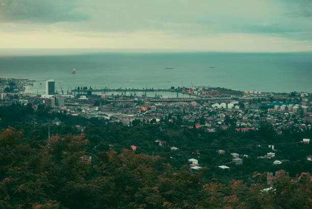 istock Commercial dock between green forest and Black Sea. 1011972590