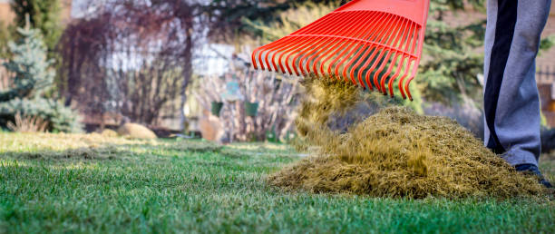 istock A man clogs the felt with a lawn with red plastic rags, after aeration 1011972602
