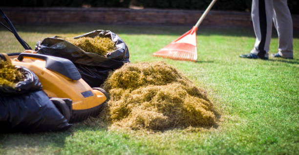 istock A man clogs the felt with a lawn with red plastic rags, after aeration 1011972852