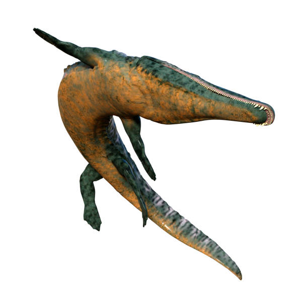 istock 3D illustration died animal Archegosaurus on white 1011982374