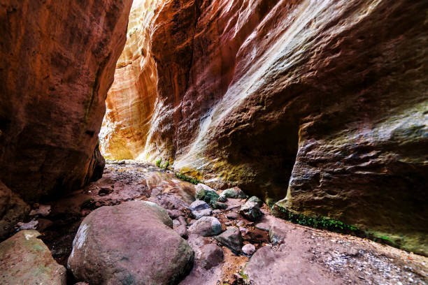 avakas canyon on cyprus island