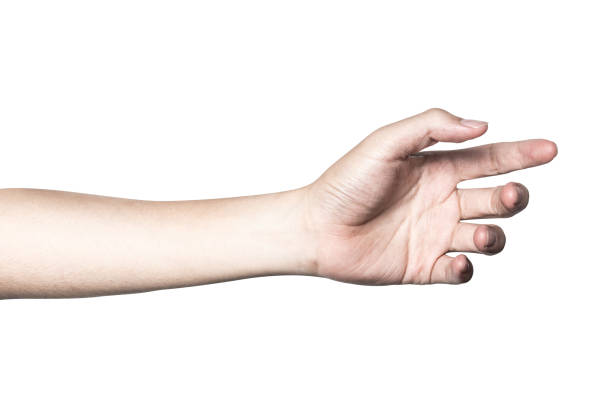 istock Hand open and ready to help or receive. Gesture isolated on white background with clipping path. 1011989752