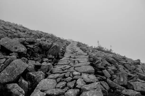 Stony path in the mountains, going to mysterious nowhere. Photo is in black and white. It was made at Czech republic at Krkonose mountains.