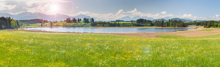 panoramic scene with lake Forggensee and mountain range in region Allgäu in Bavaria