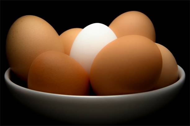 Eggs stock photo