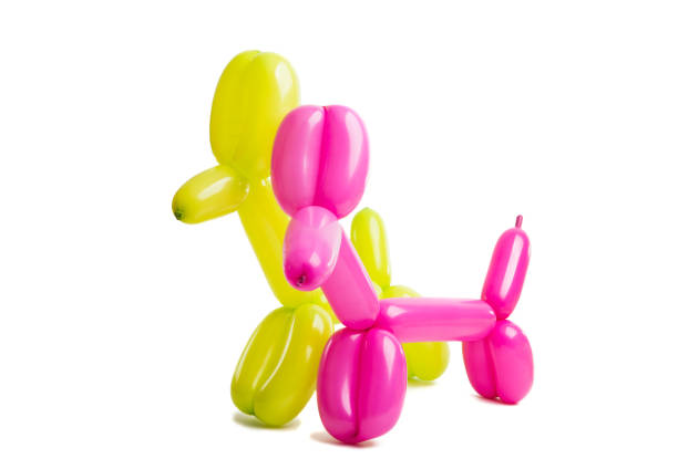istock dog toy from a balloon isolated 1012045512