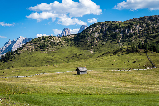 Old wooden shed in the middle of Swiss field. Beautiful mountains in the background.