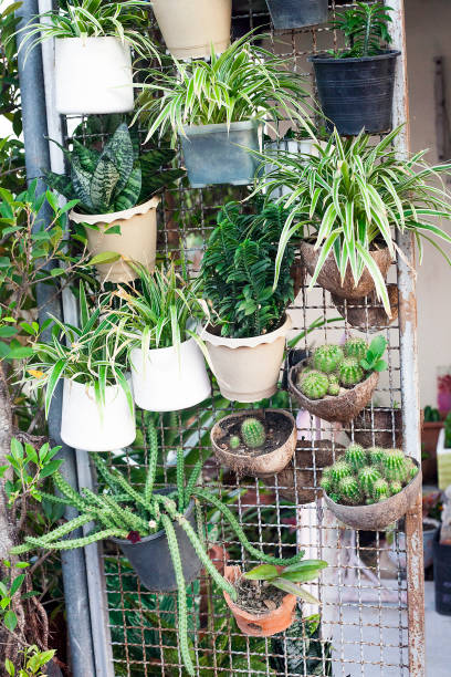 istock Metal fence decorated with potted plants 1012064094
