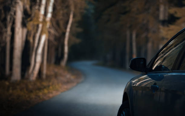 un'auto nella strada forestale notturna. una foresta illuminata dalla luce dell'auto. colori arancione e blu - night drive foto e immagini stock