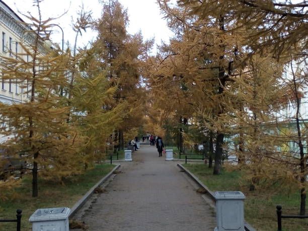 istock Saint Petersburg. alley. 1012071766
