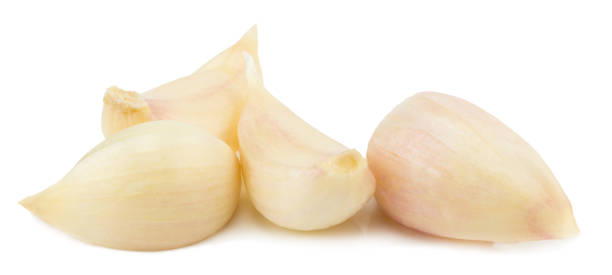istock garlic clove isolated over the white background 1012078172