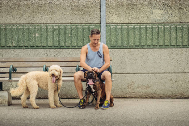 istock Dog walker taking a break at the station 1012078240