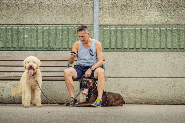istock Dog walker taking a break at the station 1012078284