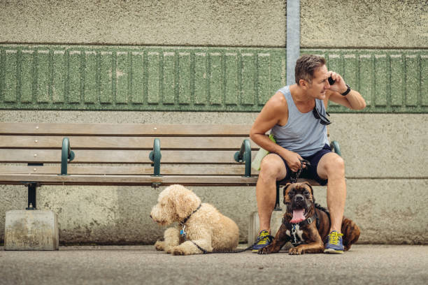 istock Dog walker taking a break at the station 1012078290