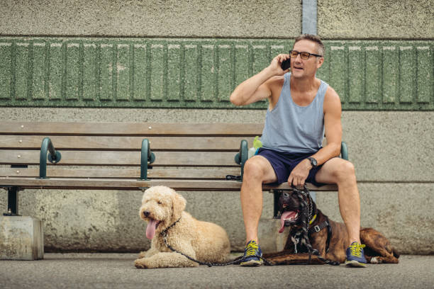 istock Dog walker taking a break at the station 1012078382