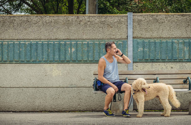 istock Dog walker taking a break at the station 1012080050