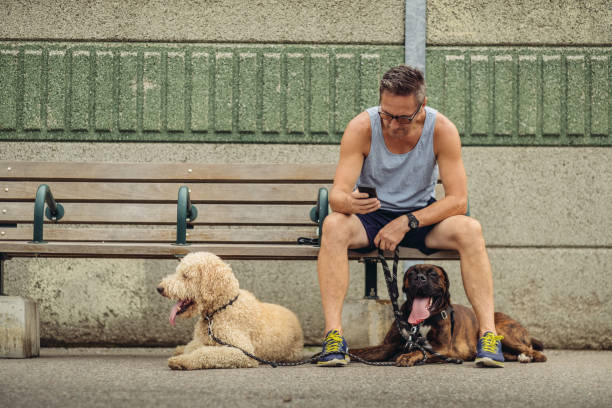 istock Dog walker taking a break at the station 1012080222