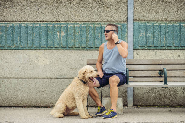 istock Dog walker taking a break at the station 1012080572