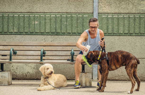 istock Dog walker taking a break at the station 1012082666