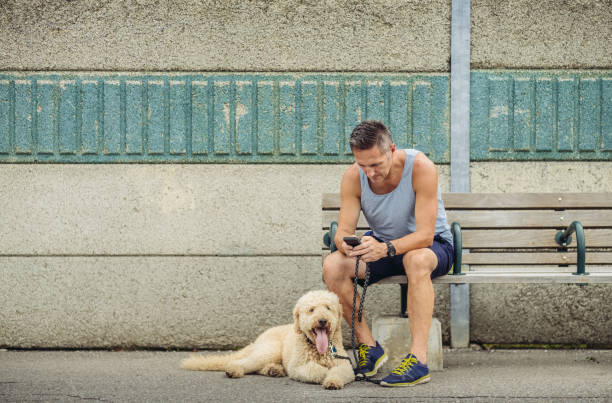 istock Dog walker taking a break at the station 1012082682