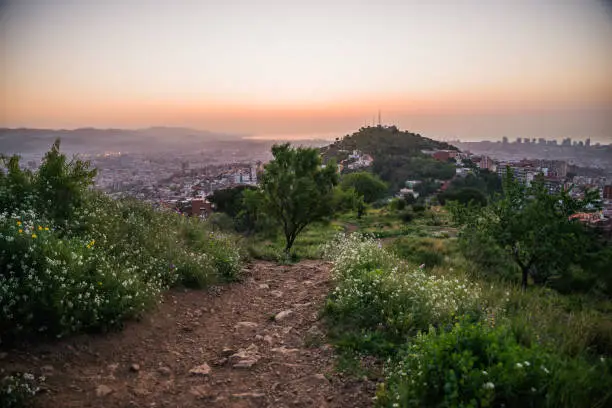 Photo of Beautiful viewpoint of Barcelona at sunrise, natural location in spring