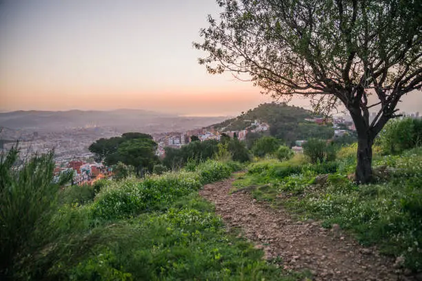 Photo of Beautiful viewpoint of Barcelona at sunrise, natural location in spring.