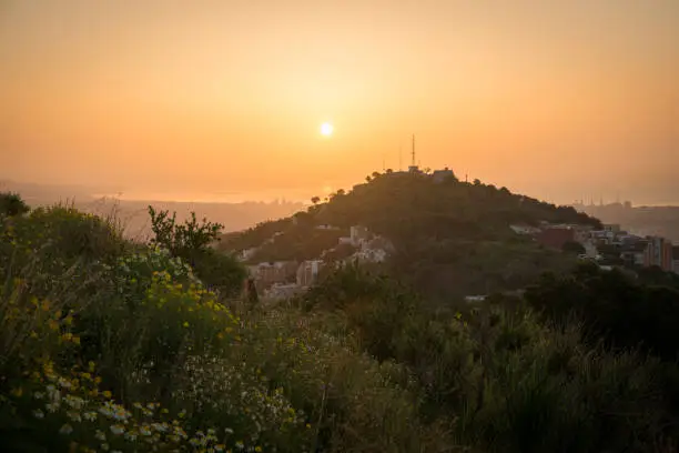 Photo of Beautiful viewpoint of Barcelona at sunrise, natural location in spring.