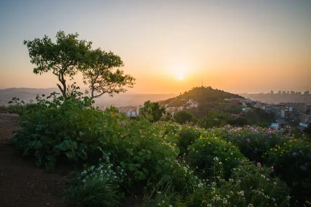 Photo of Beautiful viewpoint of Barcelona at sunrise, natural location in spring.