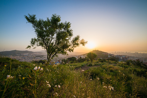 Beautiful morning in Barcelona on the top of a hill, surrounded by nature. Different unique viewpoint of the city at sunrise.