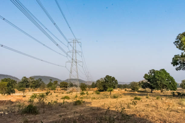 istock Power grid cable on paddy farm at rural forest close view snap on a sunny day. 1012091676