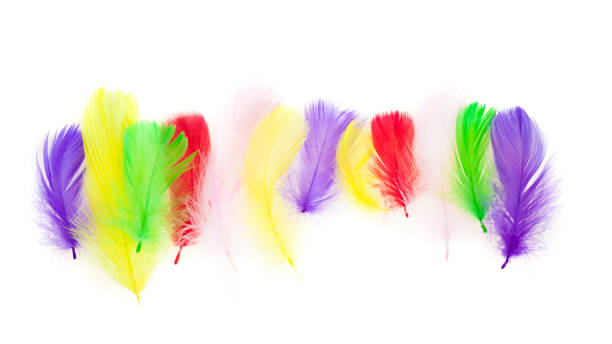 istock colorful bird feather set isolated 1012094346