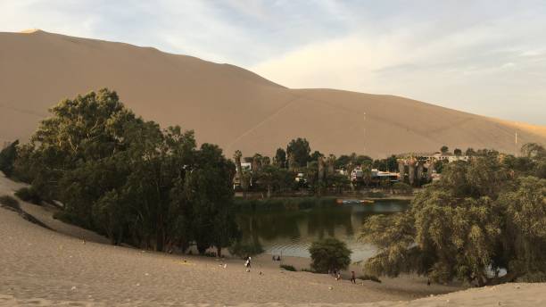 istock Oasis in the desert in Peru 1012100358